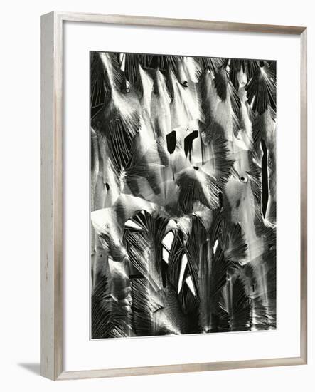 Cracked Plastic Paint, Garrapata, 1955-Brett Weston-Framed Premium Photographic Print