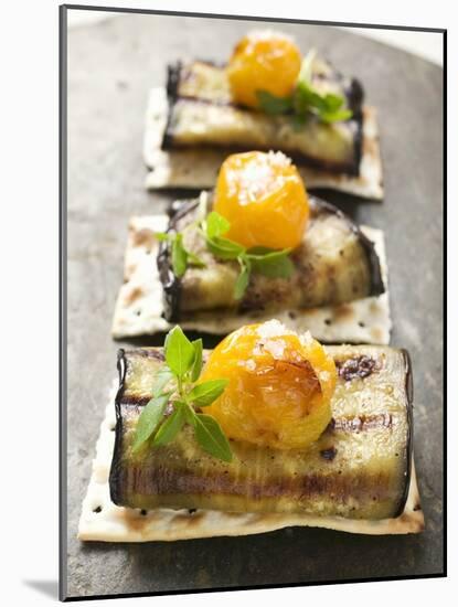 Crackers with Grilled Aubergines and Cherry Tomatoes-null-Mounted Photographic Print
