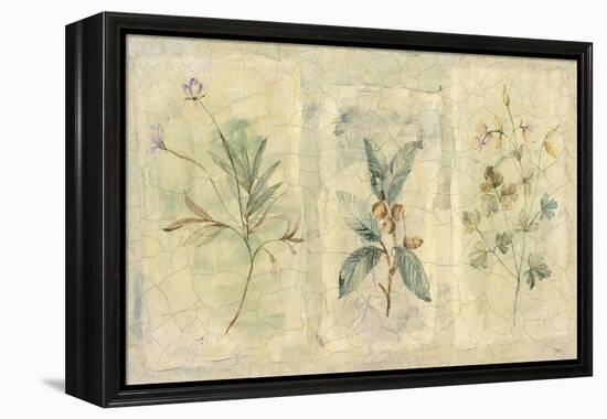 Crackle Sprigs I-Paul Hargittai-Framed Stretched Canvas