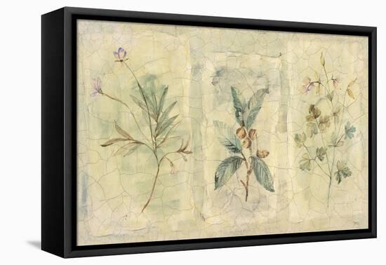 Crackle Sprigs I-Paul Hargittai-Framed Stretched Canvas