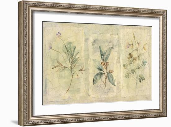 Crackle Sprigs I-Paul Hargittai-Framed Art Print