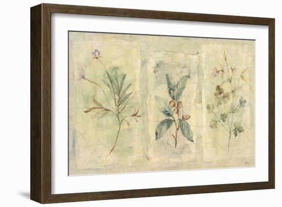 Crackle Sprigs I-Paul Hargittai-Framed Art Print