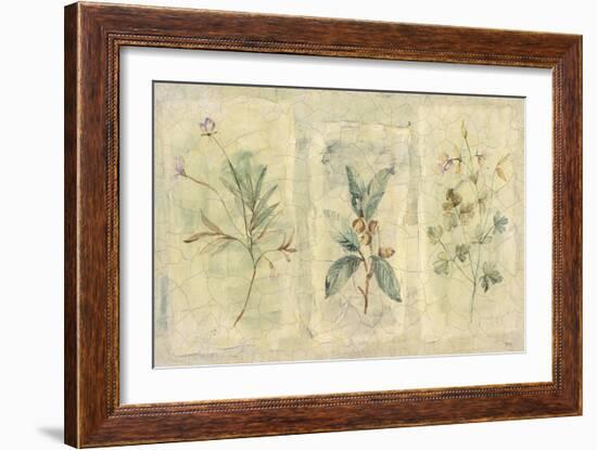 Crackle Sprigs I-Paul Hargittai-Framed Art Print