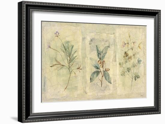 Crackle Sprigs I-Paul Hargittai-Framed Art Print