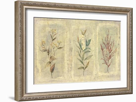 Crackle Sprigs II-Paul Hargittai-Framed Art Print