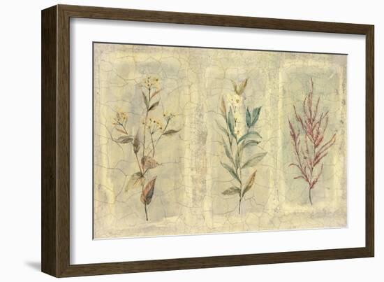 Crackle Sprigs II-Paul Hargittai-Framed Art Print