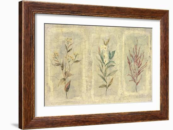 Crackle Sprigs II-Paul Hargittai-Framed Art Print