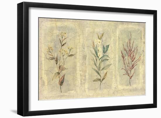 Crackle Sprigs II-Paul Hargittai-Framed Art Print