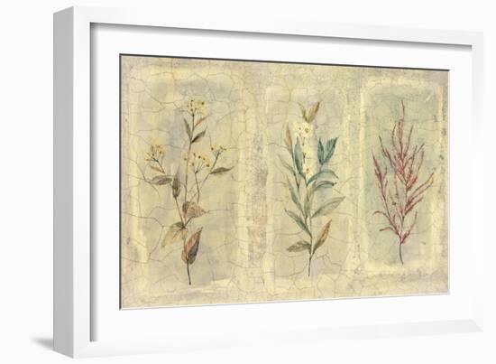 Crackle Sprigs II-Paul Hargittai-Framed Art Print