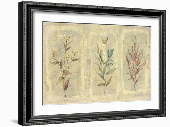 Crackle Sprigs II-Paul Hargittai-Framed Art Print