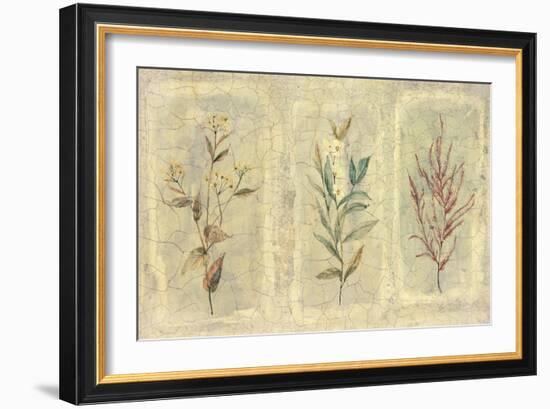 Crackle Sprigs II-Paul Hargittai-Framed Art Print