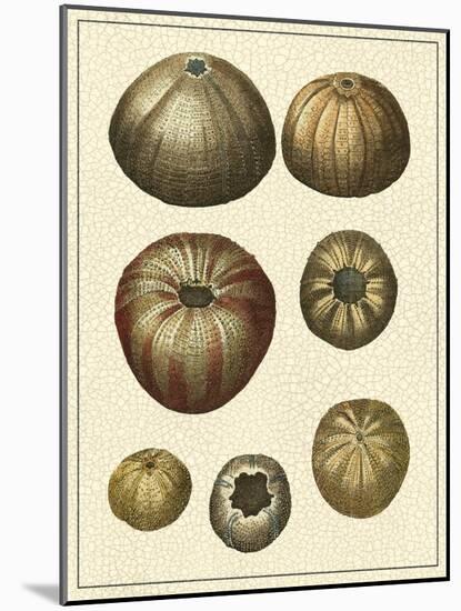 Crackled Antique Shells III-Denis Diderot-Mounted Art Print