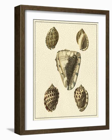 Crackled Antique Shells IV-Denis Diderot-Framed Art Print