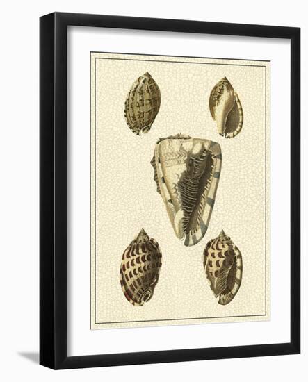 Crackled Antique Shells IV-Denis Diderot-Framed Art Print