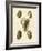 Crackled Antique Shells IV-Denis Diderot-Framed Art Print