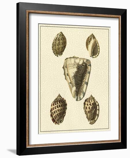 Crackled Antique Shells IV-Denis Diderot-Framed Art Print