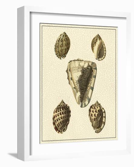 Crackled Antique Shells IV-Denis Diderot-Framed Art Print