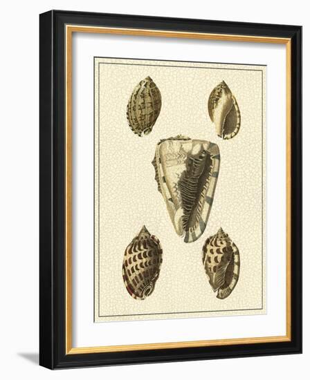 Crackled Antique Shells IV-Denis Diderot-Framed Art Print