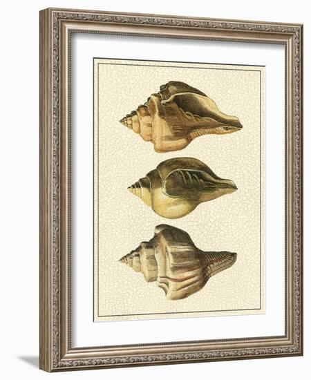 Crackled Antique Shells VI-Denis Diderot-Framed Art Print