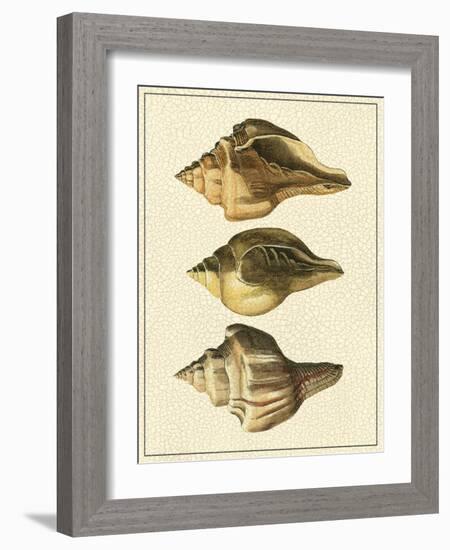 Crackled Antique Shells VI-Denis Diderot-Framed Art Print