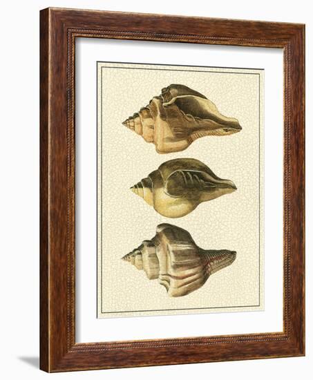 Crackled Antique Shells VI-Denis Diderot-Framed Art Print