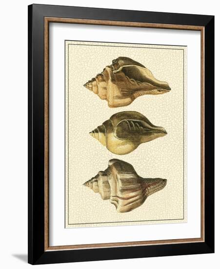 Crackled Antique Shells VI-Denis Diderot-Framed Art Print