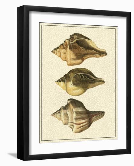 Crackled Antique Shells VI-Denis Diderot-Framed Art Print