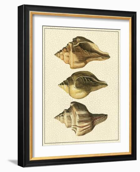 Crackled Antique Shells VI-Denis Diderot-Framed Art Print