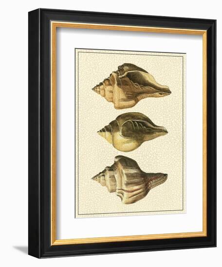 Crackled Antique Shells VI-Denis Diderot-Framed Art Print