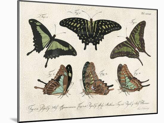 Crackled Butterflies II-Vision Studio-Mounted Art Print