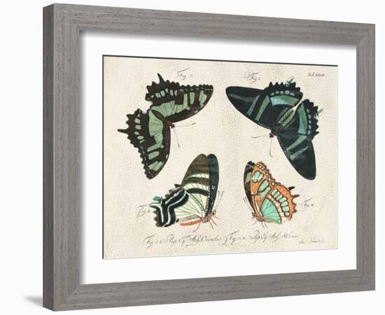 Crackled Butterflies III-Vision Studio-Framed Art Print