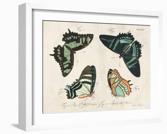 Crackled Butterflies III-Vision Studio-Framed Art Print