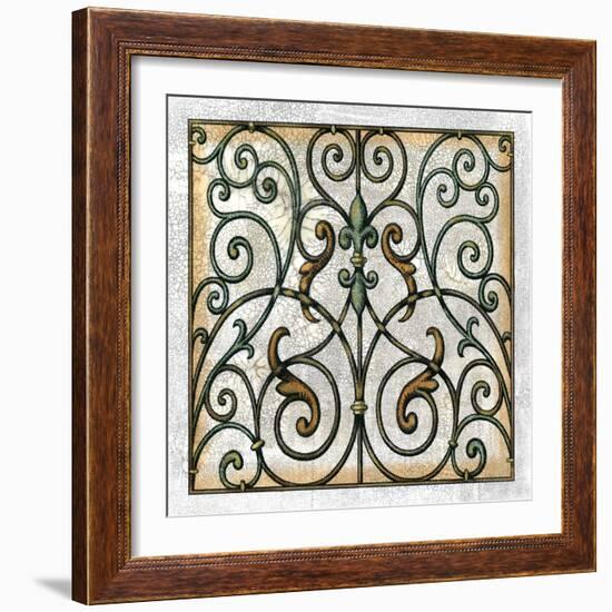 Crackled Decorative Gates I-Vision Studio-Framed Art Print