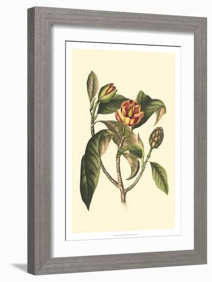 Crackled Flourishing Foliage I-Vision Studio-Framed Art Print