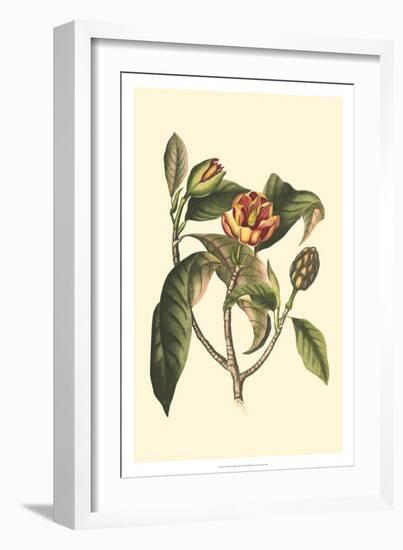 Crackled Flourishing Foliage I-Vision Studio-Framed Art Print