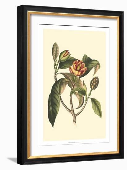 Crackled Flourishing Foliage I-Vision Studio-Framed Art Print