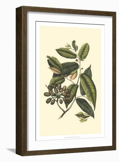 Crackled Flourishing Foliage III-Vision Studio-Framed Art Print