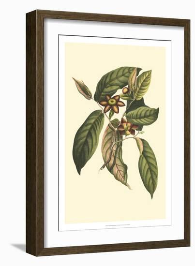Crackled Flourishing Foliage IV-Vision Studio-Framed Art Print