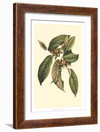Crackled Flourishing Foliage IV-Vision Studio-Framed Art Print