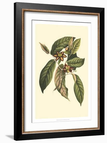 Crackled Flourishing Foliage IV-Vision Studio-Framed Art Print