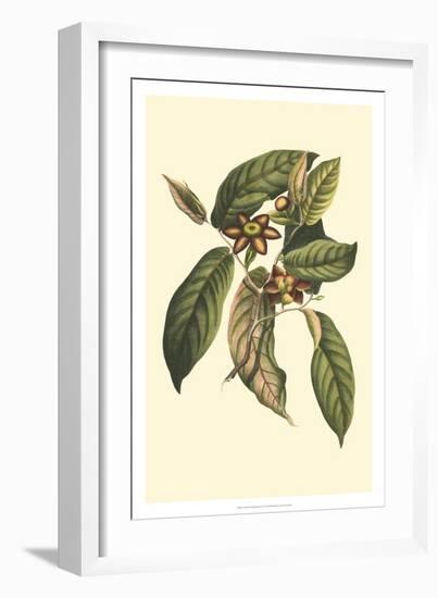 Crackled Flourishing Foliage IV-Vision Studio-Framed Art Print