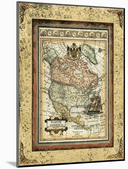 Crackled Map of North America-Deborah Bookman-Mounted Art Print