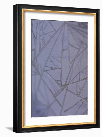 Cracks-K.B. White-Framed Photographic Print