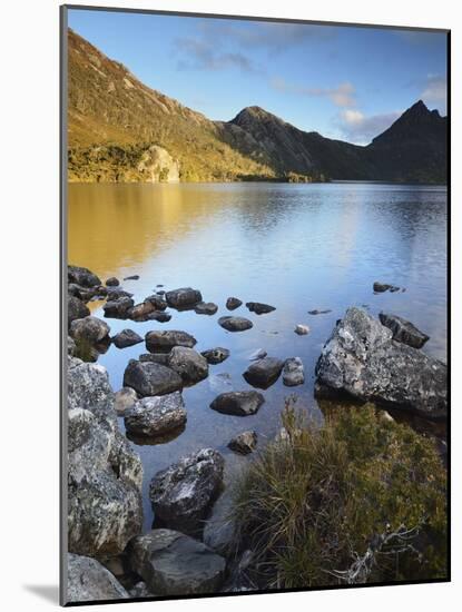 Cradle Mountain and Dove Lake, Cradle Mountain-Lake St. Clair National Park, Tasmania, Australia-Jochen Schlenker-Mounted Photographic Print