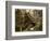 Cradle of Forestry in America, Pisgah National Forest, North Carolina, USA-Adam Jones-Framed Photographic Print