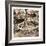 Crafty 1-Sheldon Lewis-Framed Art Print