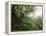 Craggy Gardens, Pisgah National Forest, North Carolina, USA-Adam Jones-Framed Premier Image Canvas