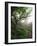 Craggy Gardens, Pisgah National Forest, North Carolina, USA-Adam Jones-Framed Photographic Print