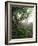 Craggy Gardens, Pisgah National Forest, North Carolina, USA-Adam Jones-Framed Photographic Print