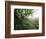 Craggy Gardens, Pisgah National Forest, North Carolina, USA-Adam Jones-Framed Photographic Print